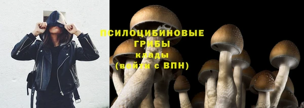 прущая мука Коряжма
