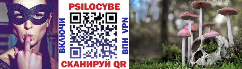 Купить закладки  Белая Калитва  Псилоцибиновые грибы ЛСД 